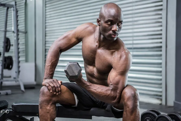 Young Bodybuilder doing weightlifting — Stock Photo, Image