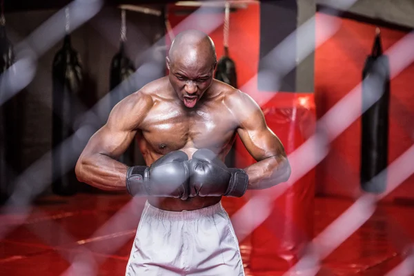 Young bodybuilder doing excercises — Stock Photo, Image