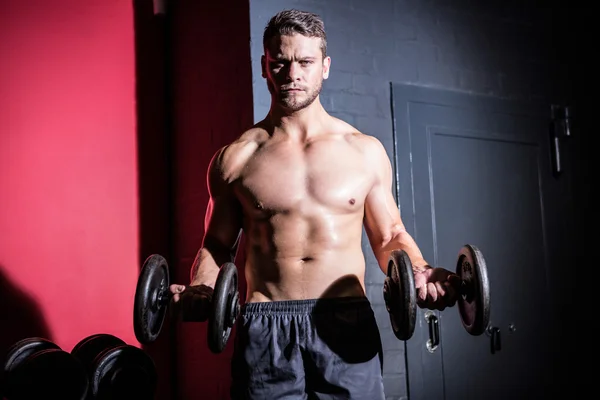 Portrait of muscular man lifting dumbbells — Stock Photo, Image