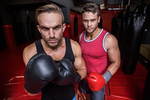 Боксеры в фитнес-студии — стоковое фото