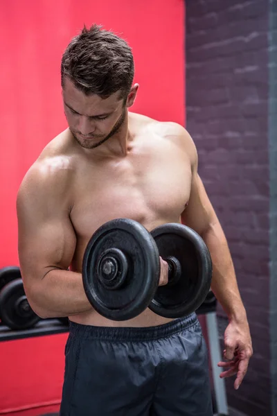 Homem muscular haltere de elevação — Fotografia de Stock