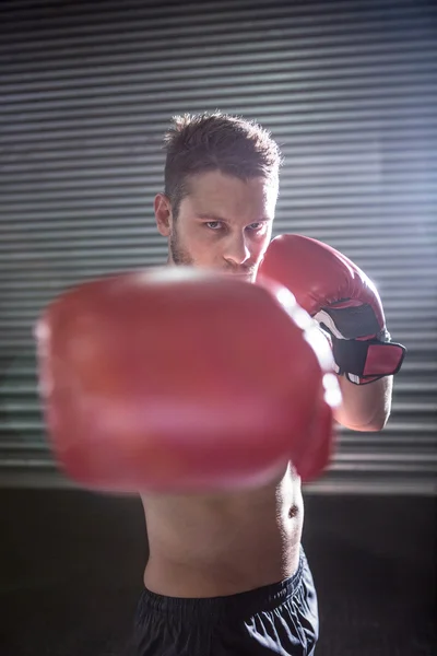 Portrait of serious muscular boxer — Stock Photo, Image