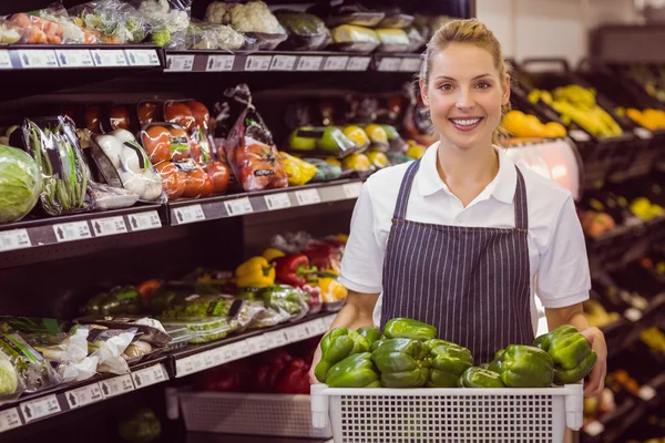 Portrét usměvavá blondýnka pracovníka drží zeleninu — Stock fotografie