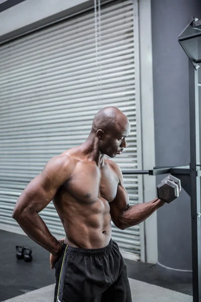 Young Bodybuilder doing weightlifting — Stock Photo, Image