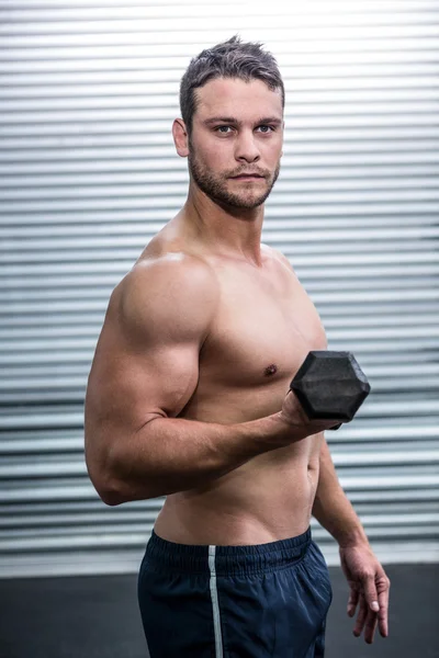 Портрет мускулистого человека, поднимающего гантели — стоковое фото
