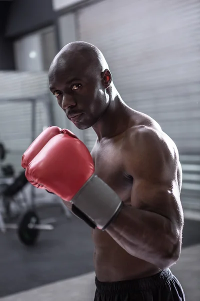 Jeune bodybuilder posant devant la caméra — Photo