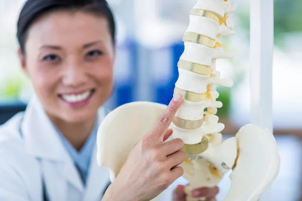 Médico sorridente mostrando coluna anatômica — Fotografia de Stock