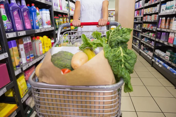 Nő vásárolni termékeket neki vizsgálókocsi — Stock Fotó