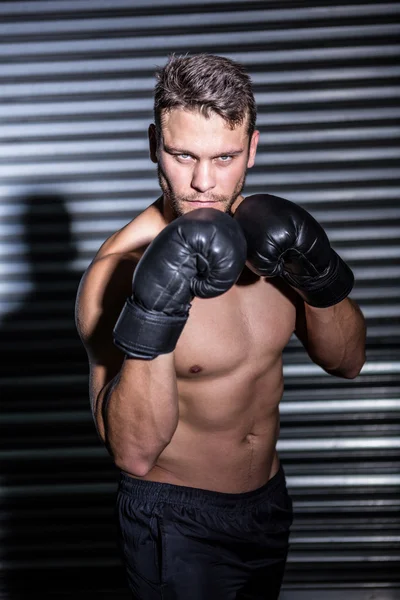 Porträt eines ernsthaften muskulösen Boxers — Stockfoto