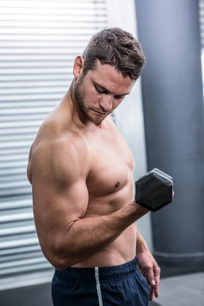 Muscular man lifting dumbbells — Stock Photo, Image