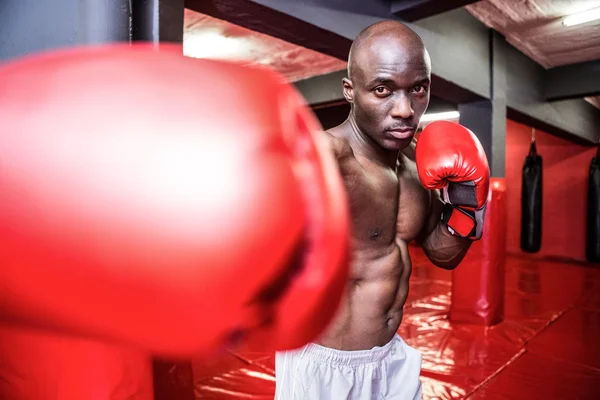 Jeune bodybuilder posant devant la caméra — Photo