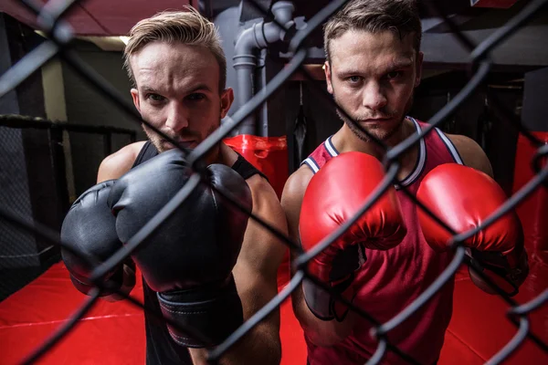 Homens de boxe por trás da rede — Fotografia de Stock