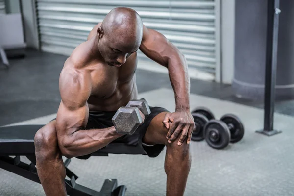 Young Bodybuilder doing weightlifting — Stock Photo, Image