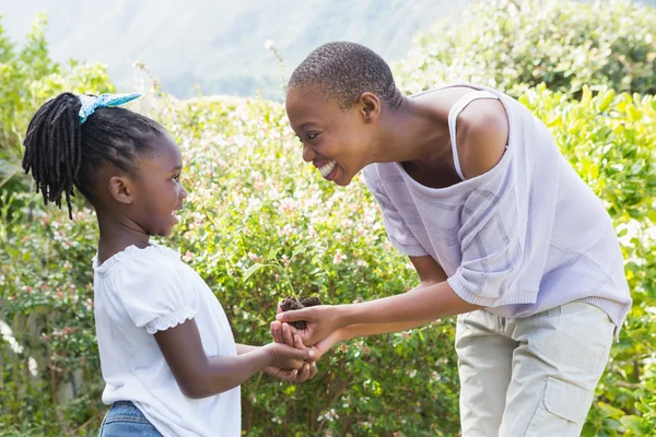 Mère plante une fleur avec sa fille — Photo