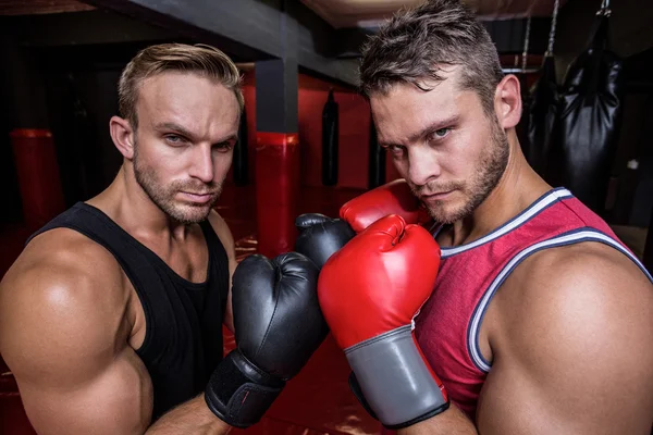 Boxeadores haciendo ejercicio juntos —  Fotos de Stock