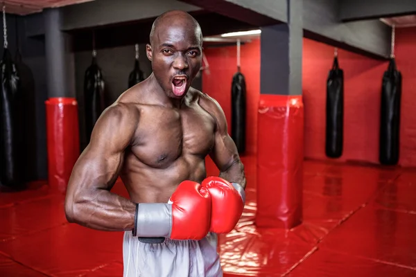 Jeune bodybuilder posant devant la caméra — Photo