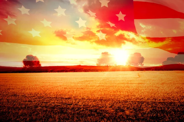 Render 3d altamente dettagliato di una bandiera americana — Foto Stock