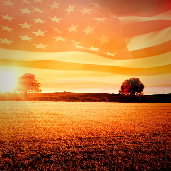 Ondulación de la bandera americana generada digitalmente — Foto de Stock