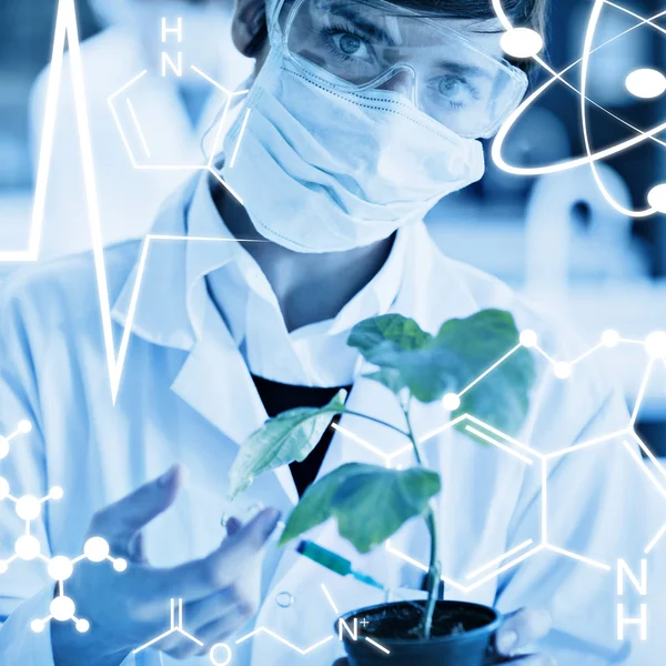 Woman holding plant — Stock Photo, Image