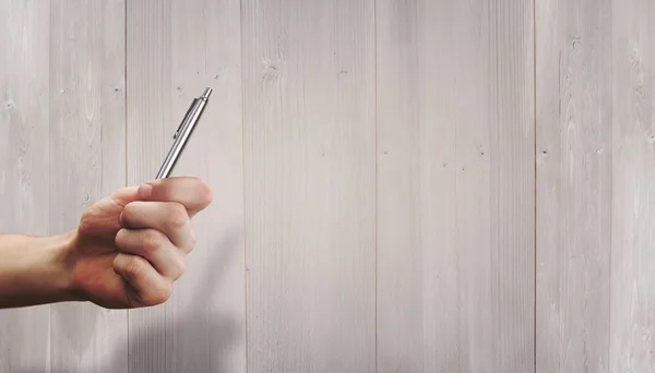 Handhållen penna — Stockfoto