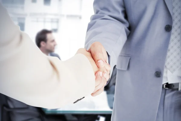 Businessman talking to her team — Stock Photo, Image