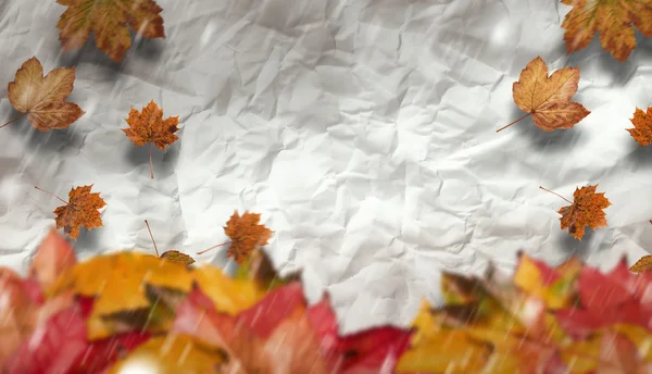 Herbstlaub gegen zerknülltes Papier — Stockfoto