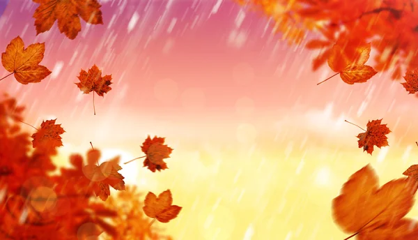 Composite image of autumn leaves — Stock Photo, Image