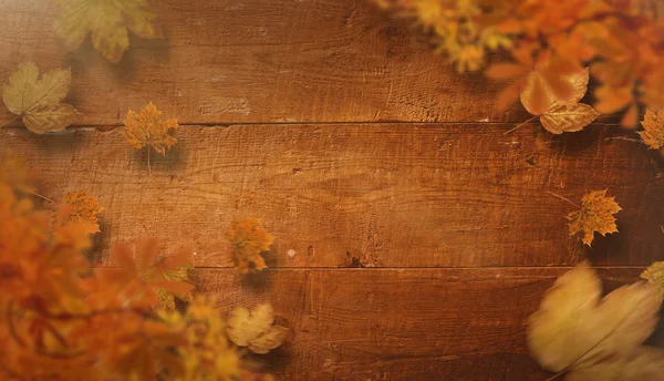 Samengestelde afbeelding van Herfstbladeren — Stockfoto