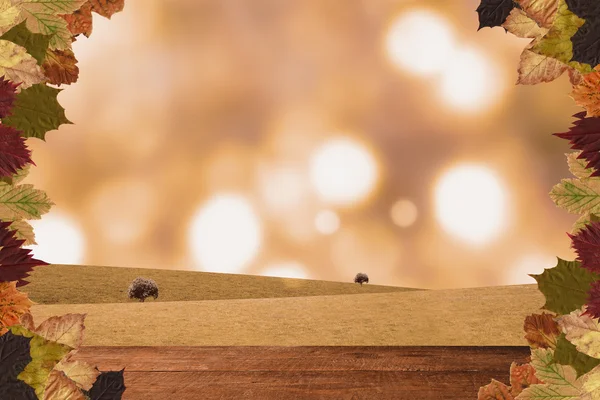 Imagen compuesta del patrón de hojas de otoño — Foto de Stock