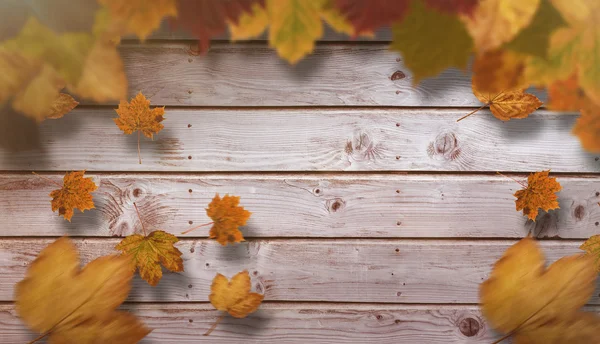 Złożony obraz jesieni pozostawia wzór — Zdjęcie stockowe