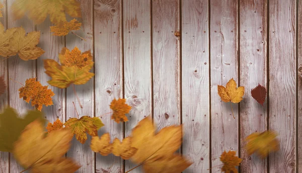 Zusammengesetztes Bild der Herbstblätter — Stockfoto