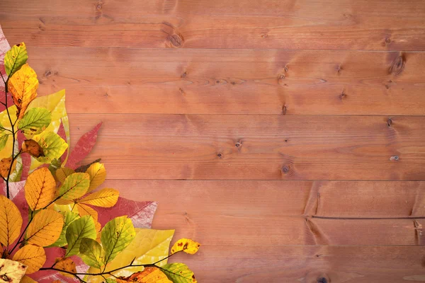 Composite image of autumn leaves pattern — Stock Photo, Image