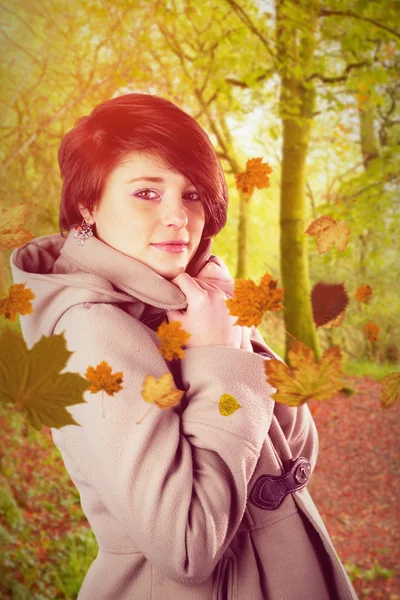 Retrato de mujer hermosa vistiendo abrigo de invierno —  Fotos de Stock