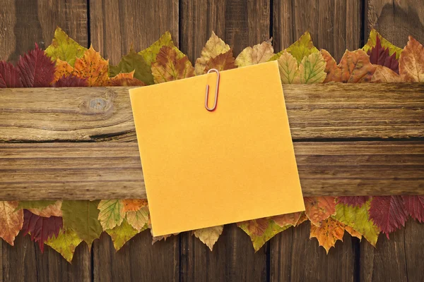 Orange adhesive note with a paperclip — Stock Photo, Image