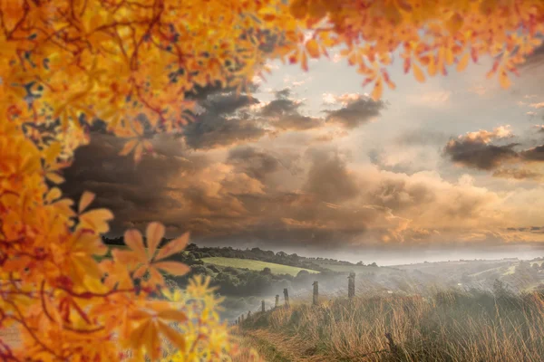 Folhas de outono contra cena do país — Fotografia de Stock