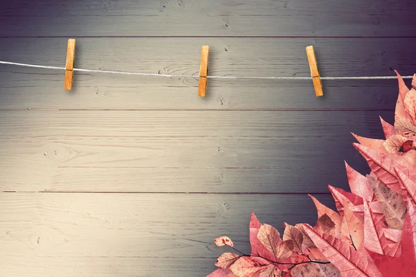 秋の葉パターンの合成画像 — ストック写真