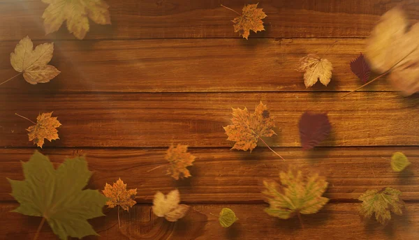 Σύνθετη εικόνα του φθινοπώρου φύλλα μοτίβο — Φωτογραφία Αρχείου