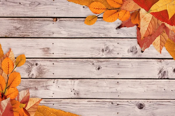 Verbundbild des Herbstblättermusters — Stockfoto