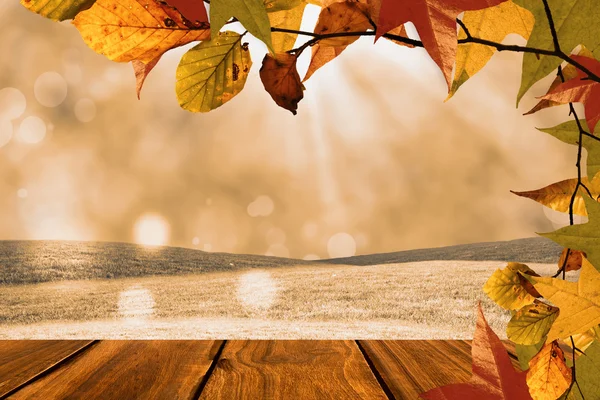 秋天的叶子图案的复合图像 — 图库照片