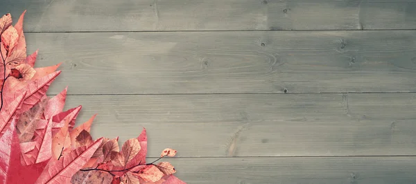 Композитное изображение осенних листьев — стоковое фото