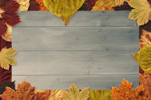 Immagine composita di autunno foglie modello — Foto Stock