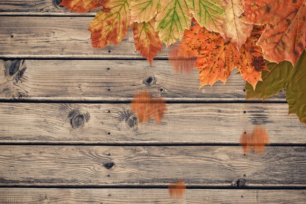 Samengestelde afbeelding van herfst bladeren patroon — Stockfoto