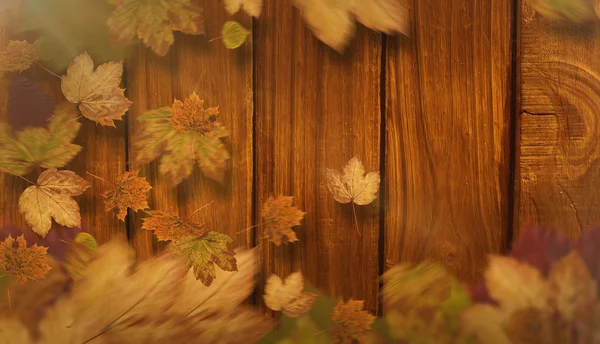 Zusammengesetztes Bild der Herbstblätter — Stockfoto