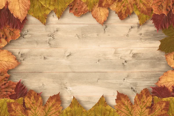 Autumn leaves pattern — Stock Photo, Image