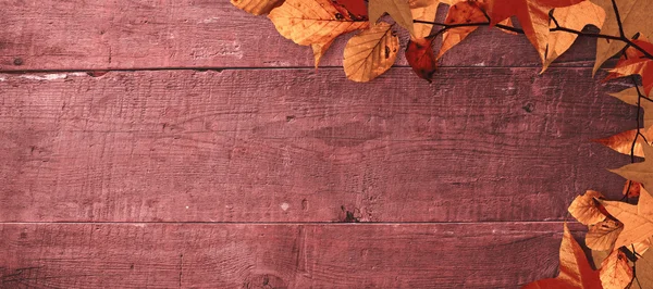 Imagem composta de padrão de folhas de outono — Fotografia de Stock