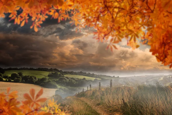 Zusammengesetztes Bild der Herbstblätter — Stockfoto