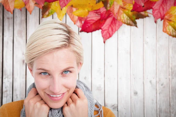 Smiling woman wearing a scarf — Stock Photo, Image