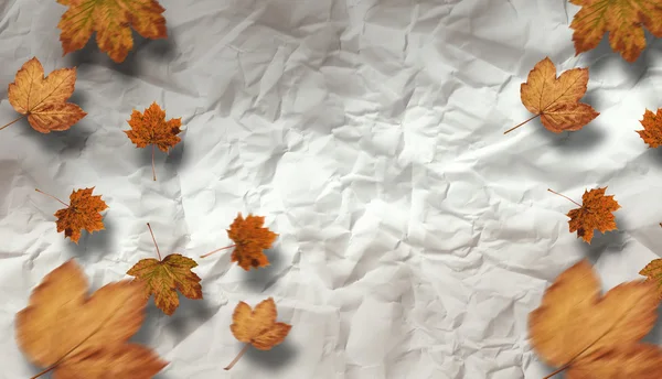 Imagen compuesta del patrón de hojas de otoño —  Fotos de Stock