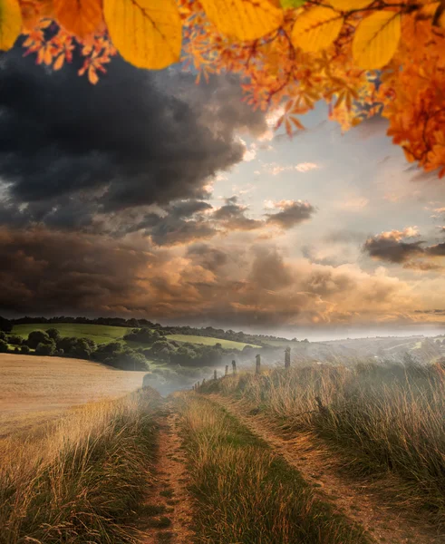 Immagine composita di foglie d'autunno — Foto Stock