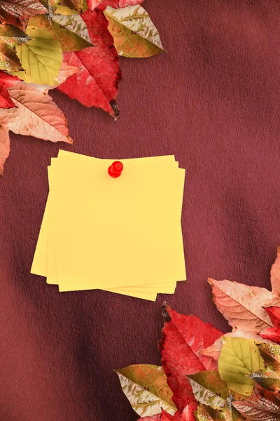 Composite image of sticky note with red pushpin — Stock Photo, Image